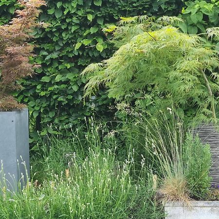 Pine Cottage- 5 Minutes Francorchamps - Charme -Piscine-Calme-Jardin Sart  Exterior foto